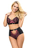 Ladies Beautiful Black Lace Underwired Bra & Sheer Black Lace Front Briefs Set