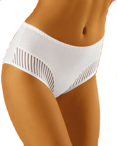 Ladies Fabulous Deep Sided Brief With Pretty Sheer Stripy Edging