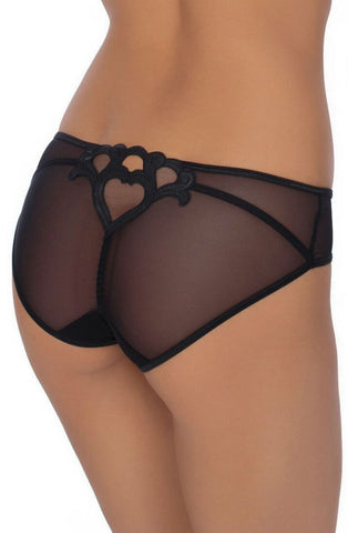 Gorgeous Sheer Mesh Heart Embroidered Design Brief A140
