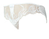 Ladies Fabulous Sheer Brief With Geogeous Embroidery Design